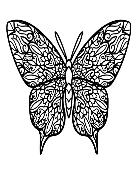 Intricate butterfly with detailed organic patterns on its wings coloring page.