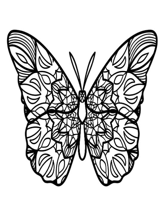 Decorative butterfly with intricate symmetrical patterns on its wings, coloring page.