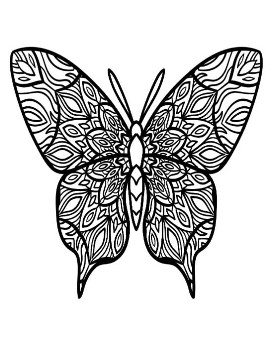 Intricate patterned butterfly with delicate mandalas on its wings, coloring page.