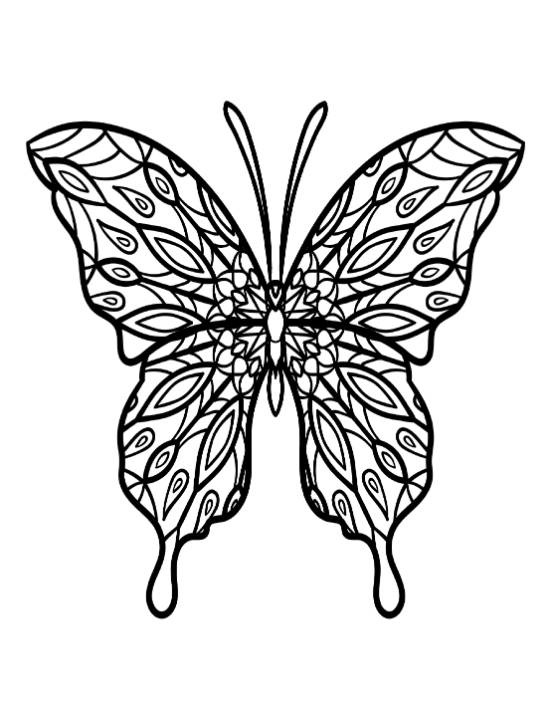 Butterfly with intricate wings and patterned cells, suitable for detailed coloring. coloring page