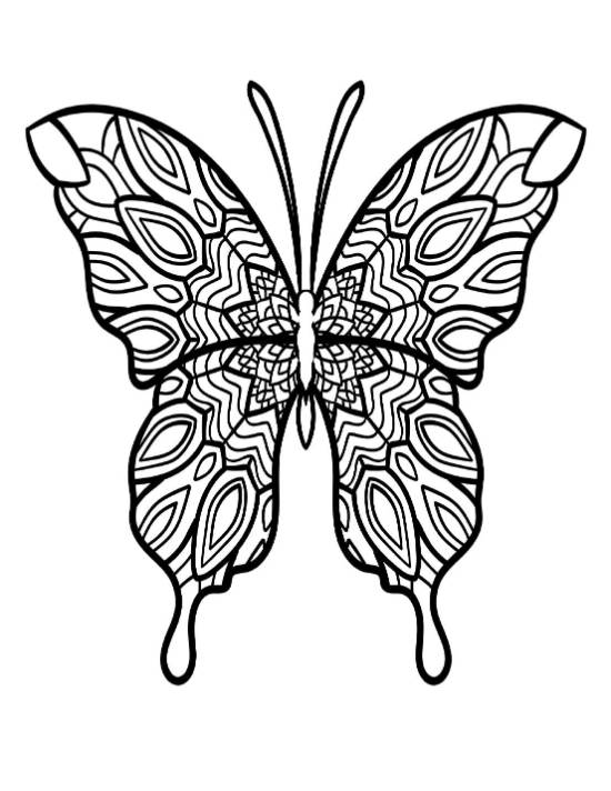 Symmetrical butterfly with four elaborate patterned wings and antennae coloring page.