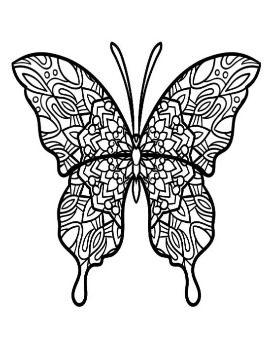 Intricate butterfly with symmetrical patterned wings, black-and-white coloring page.