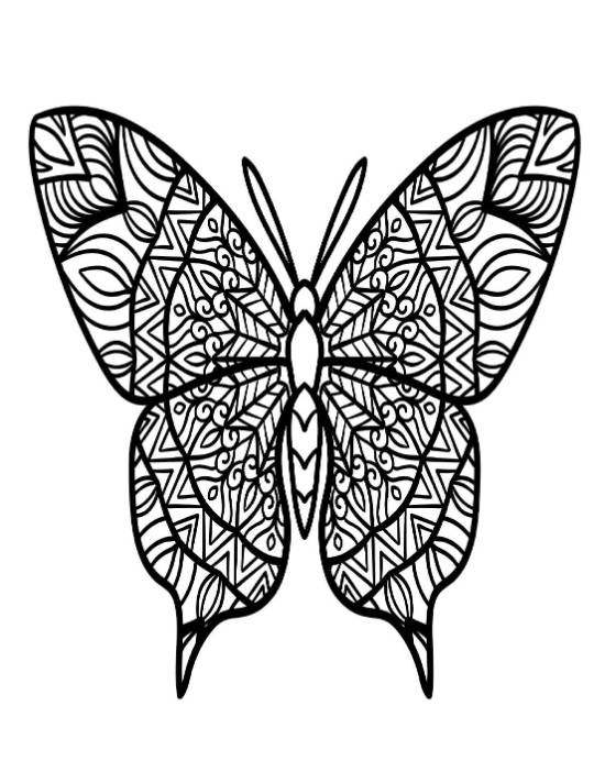 Butterfly with intricate patterns on its wings, for a relaxing coloring page.