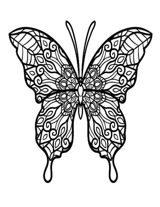 Butterfly with intricate wing patterns, perfect for a detailed coloring page.
