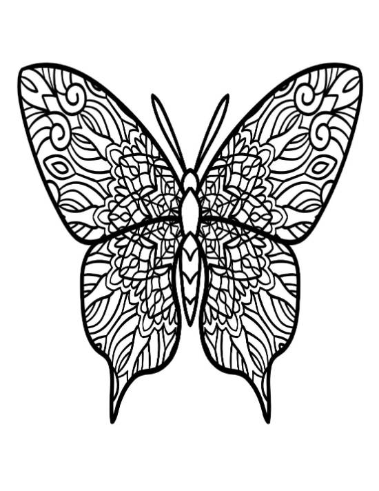Butterfly with intricate swirled and geometric patterns on its wings coloring page