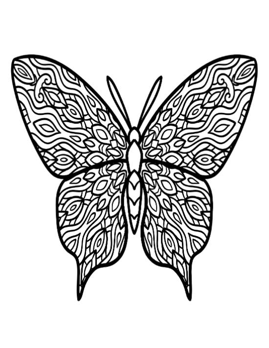 Beautiful butterfly with intricate wing patterns, perfect for a detailed coloring page.