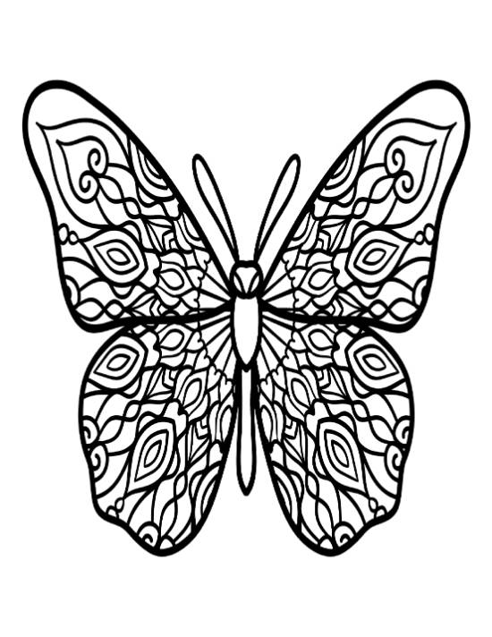 Butterfly with intricate patterned wings and delicate antennae coloring page.