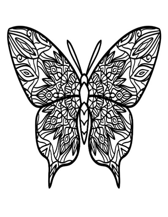 Butterfly with intricate patterns on its wings fills this detailed coloring page.