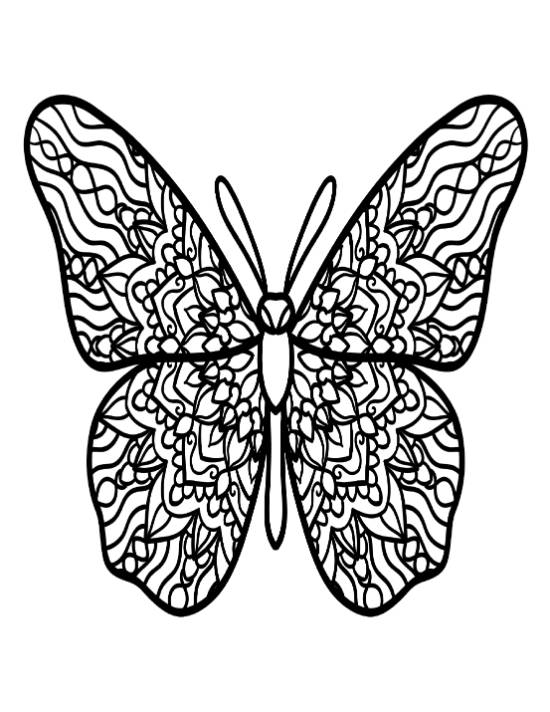 Butterfly outline with intricate patterns on its wings coloring page