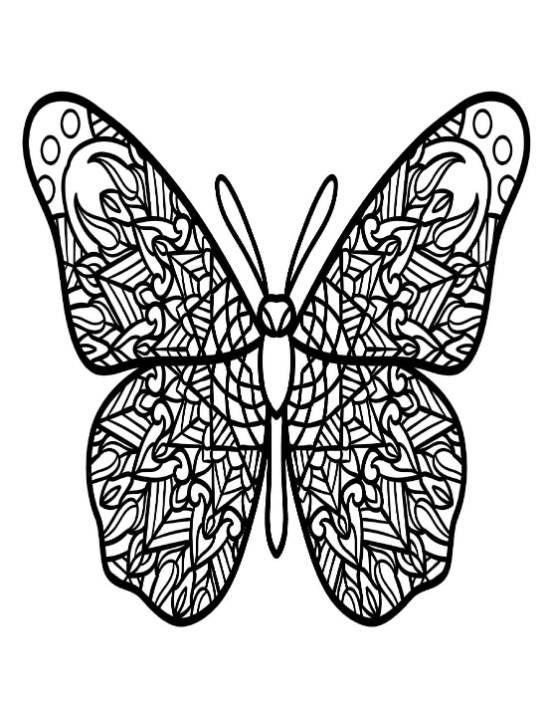 Intricate butterfly with patterned wings and circular antennae tips, coloring page.