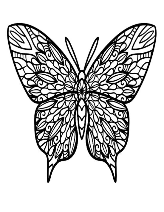 Detailed butterfly with intricate patterns on its wings, featuring a central design coloring page.