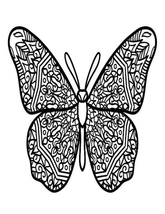 Intricate butterfly with symmetrical patterned wings for detailed coloring, coloring page.