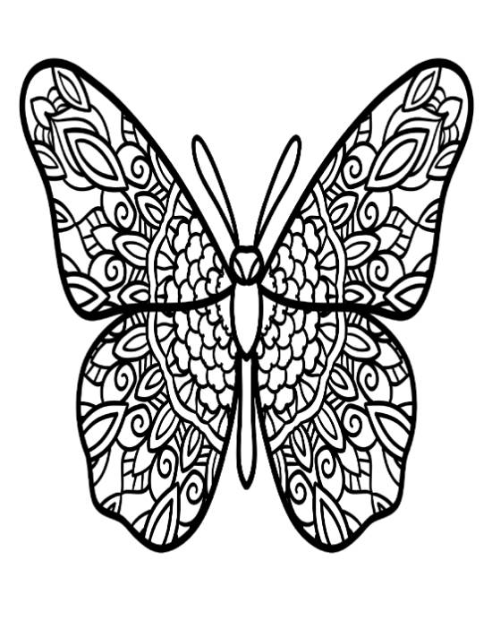 Butterfly with ornate patterned wings and body, symmetrical design coloring page.
