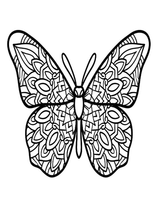 Butterfly with intricate mandala patterns on its wings, large and symmetrical, coloring page.