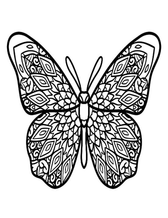 Intricate butterfly with detailed patterns on its wings, suitable for adult coloring page.