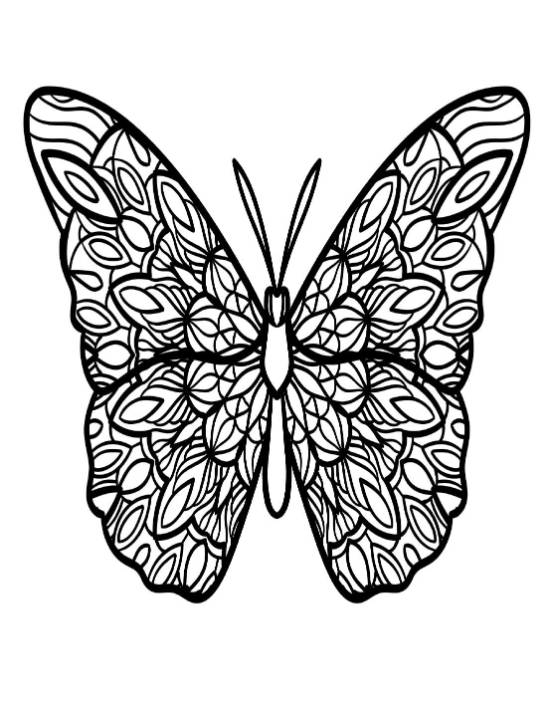 Butterfly with intricate patterns on its wings, featuring organic shapes and lines coloring page.