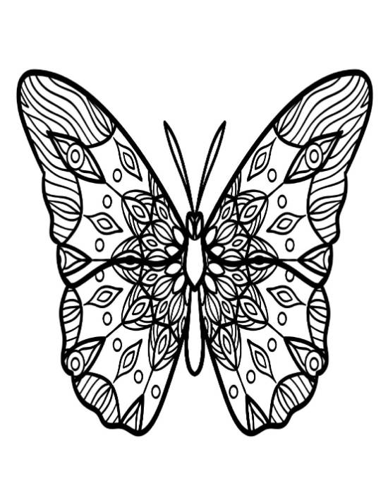 Ornate butterfly coloring page with intricate natural patterns and floral motifs.
