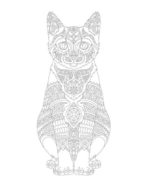Zentangle cat, intricate patterns covering its body, sitting elegantly coloring page.