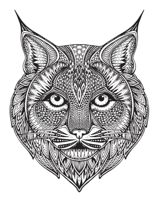 Ornate lynx head with intricate patterns and textures coloring page.