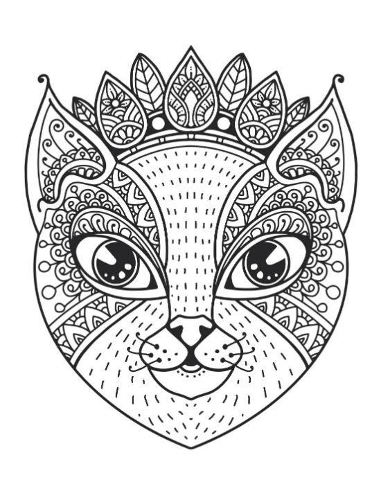 Detailed cat face with a patterned crown and ornate eyes coloring page.
