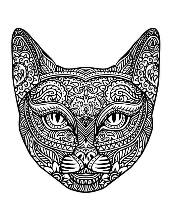 Intricate cat face with detailed patterns and bold lines, coloring page.