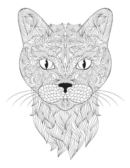 Intricate cat face with detailed floral and swirl patterns, perfect for a coloring page.
