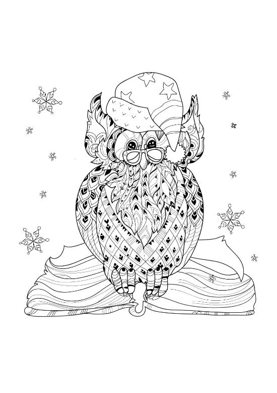 Owl wearing glasses and a Santa hat sitting on a book on a coloring sheet