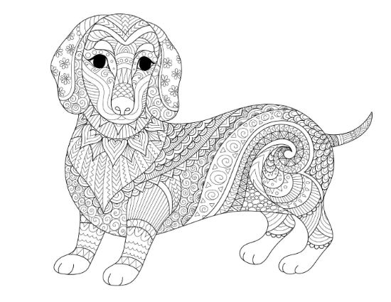 adult-dog-coloring-pages-mandala - Page 7