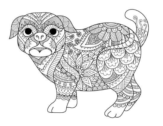 A charming bulldog with abstract floral designs and intricate patterns, coloring page.