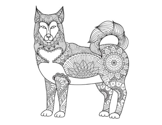 Intricate line art husky dog filled with diverse patterns and mandalas coloring page.