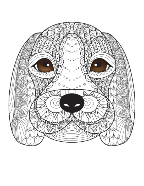 Beagle head with intricate Zentangle patterns and brown eyes coloring page.