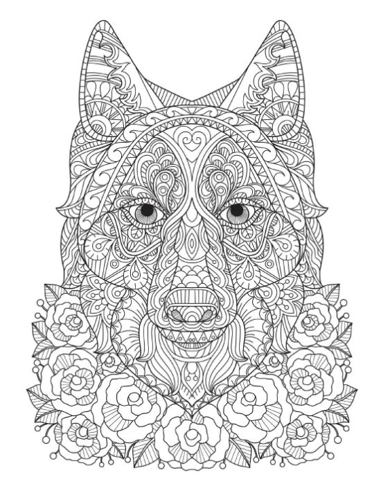 Intricate husky head surrounded by roses with detailed geometric patterns coloring page.