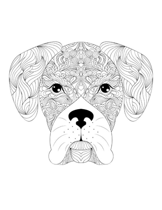 A dog's head with abstract floral patterns and mandalas for adult coloring page.