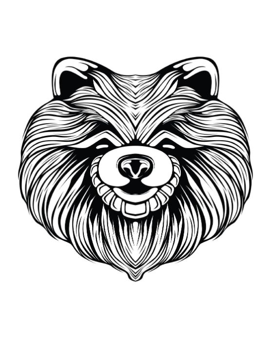 Fluffy Pomeranian dog head with intricate fur patterns, smiling mouth, and textured nose coloring page.