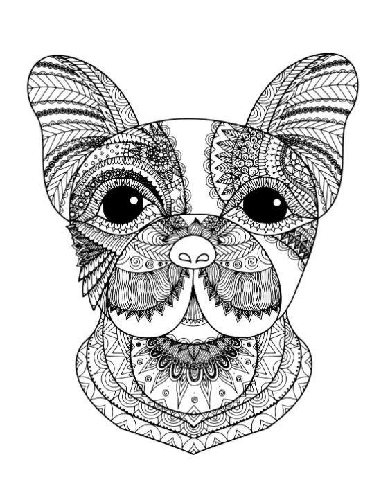French bulldog with intricate Zentangle patterns and bold black eyes coloring page