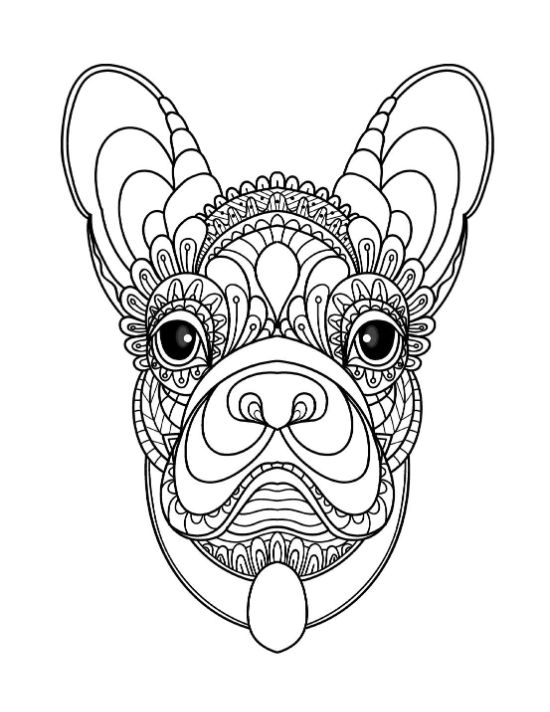 French Bulldog head adorned with intricate mandala patterns coloring page.