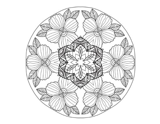 Round wreath of cosmos blossoms surrounding a small ornate central bloom on a mandala