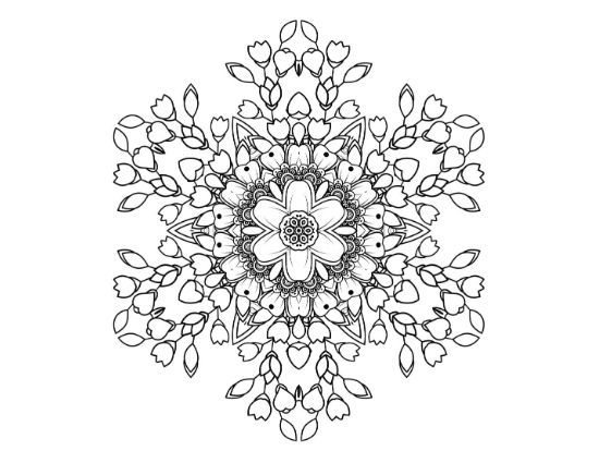 Bud and tulip cluster surrounding a six petal flower star on a coloring sheet