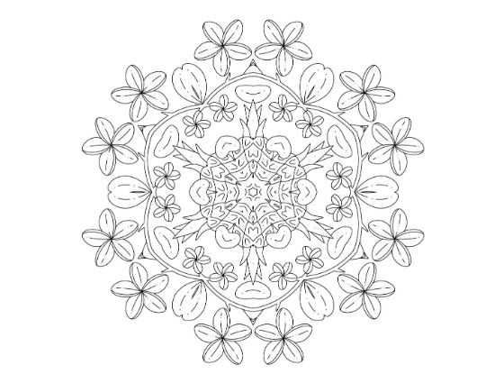 Outer ring of six petal flowers around an inner spiked star on a mandala