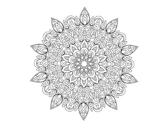 Chrysanthemum mandala with layered pointed petals radiating from a small heart on a coloring page