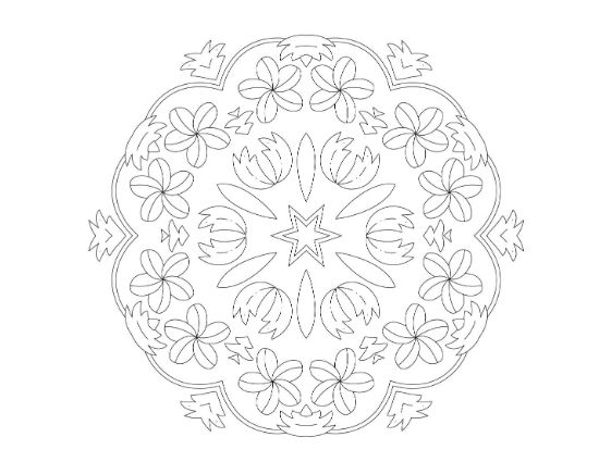Floral mandala with tulip buds and frangipani blooms framing a star center on a mandala