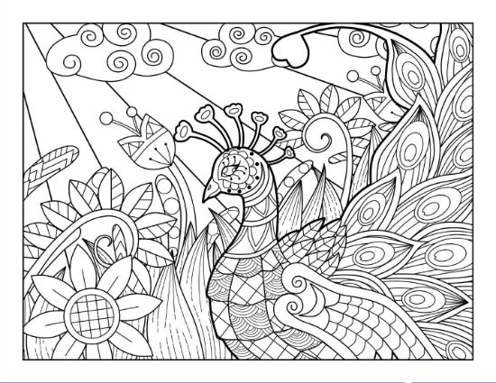 Peacock with intricate patterns, large flowers, and swirling clouds coloring page.