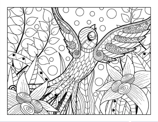 Stylized bird with patterned wings and swirling flowers, surrounded by leaves, coloring page.