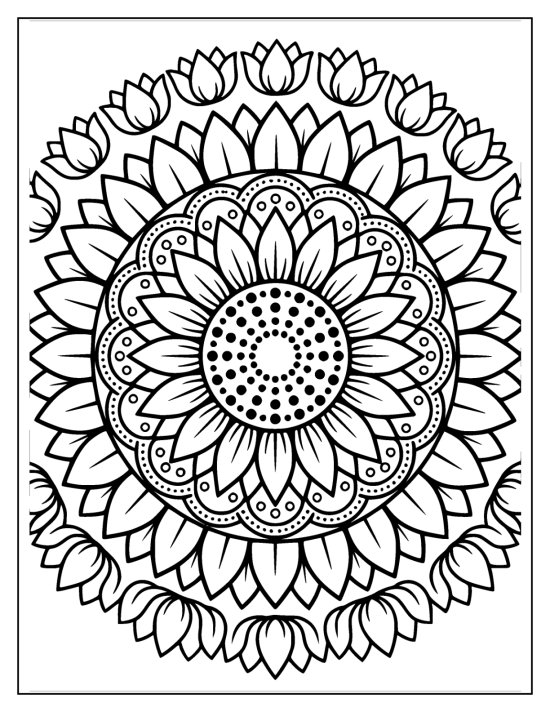 Sunflower with a round seeded center and rings of long petals in radial symmetry, coloring page