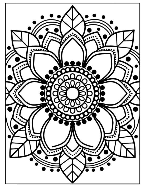 Sunflower with two layers of big open petals and a textured heart, mandala