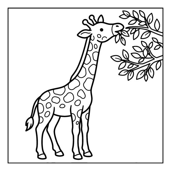 A giraffe stretches up to nibble leaves from a tall branch, bold and easy