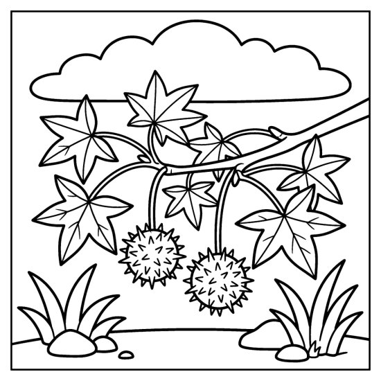 Sweetgum branch with star shaped leaves and two spiky seed balls, coloring sheet