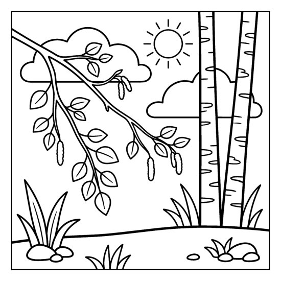 Birch branch with small leaves and catkins before two tall birch trunks, coloring page
