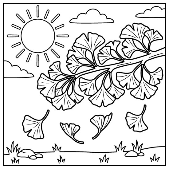 Ginkgo branch with fan shaped leaves drifting down beneath a bright sun, coloring page