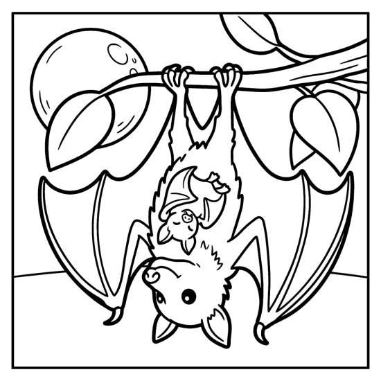 Mother bat hanging from a branch with a tiny pup clinging to her chest, bold and easy